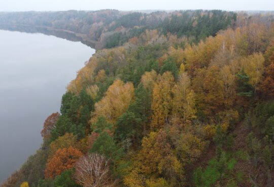 Arlaviškių pažintinis takas