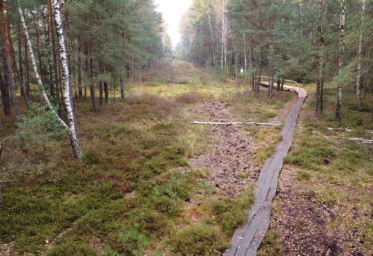 Velniabliūdžio gamtos takas